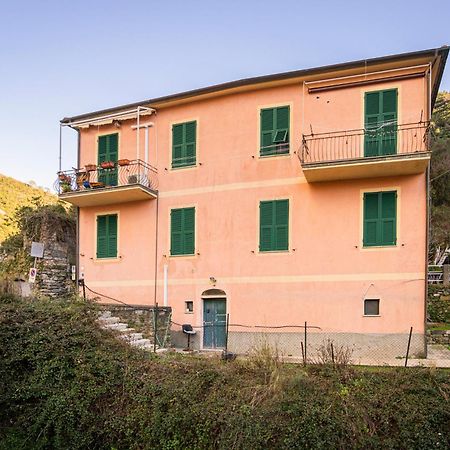 Il Limoneto Dei Cinque Sensi,Apartment With Garden 韦尔纳扎 外观 照片