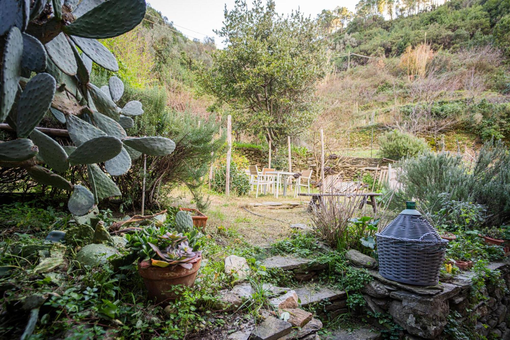 Il Limoneto Dei Cinque Sensi,Apartment With Garden 韦尔纳扎 外观 照片
